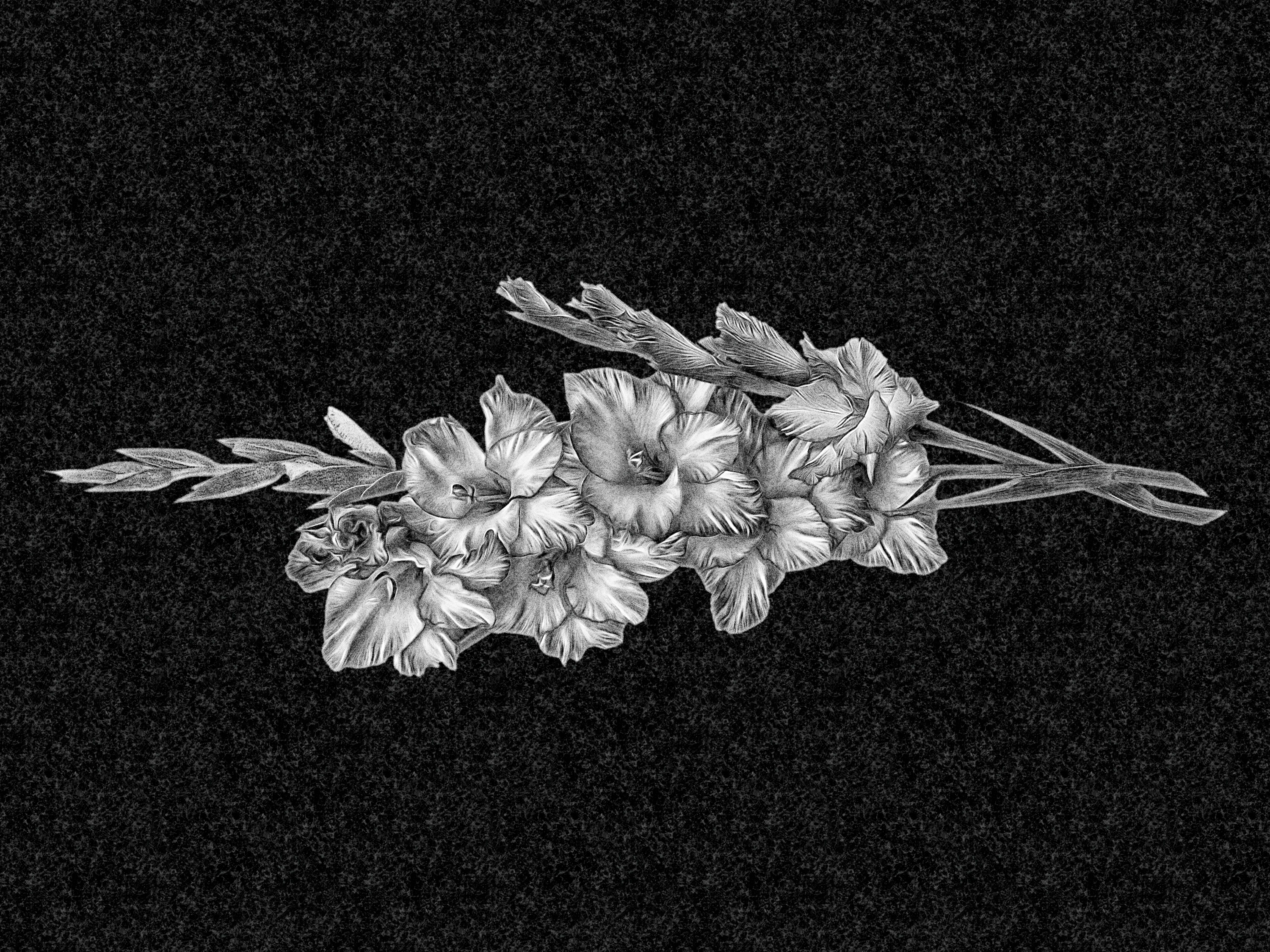 Цветы | Рисунок гладиолусы, ЦВ-014