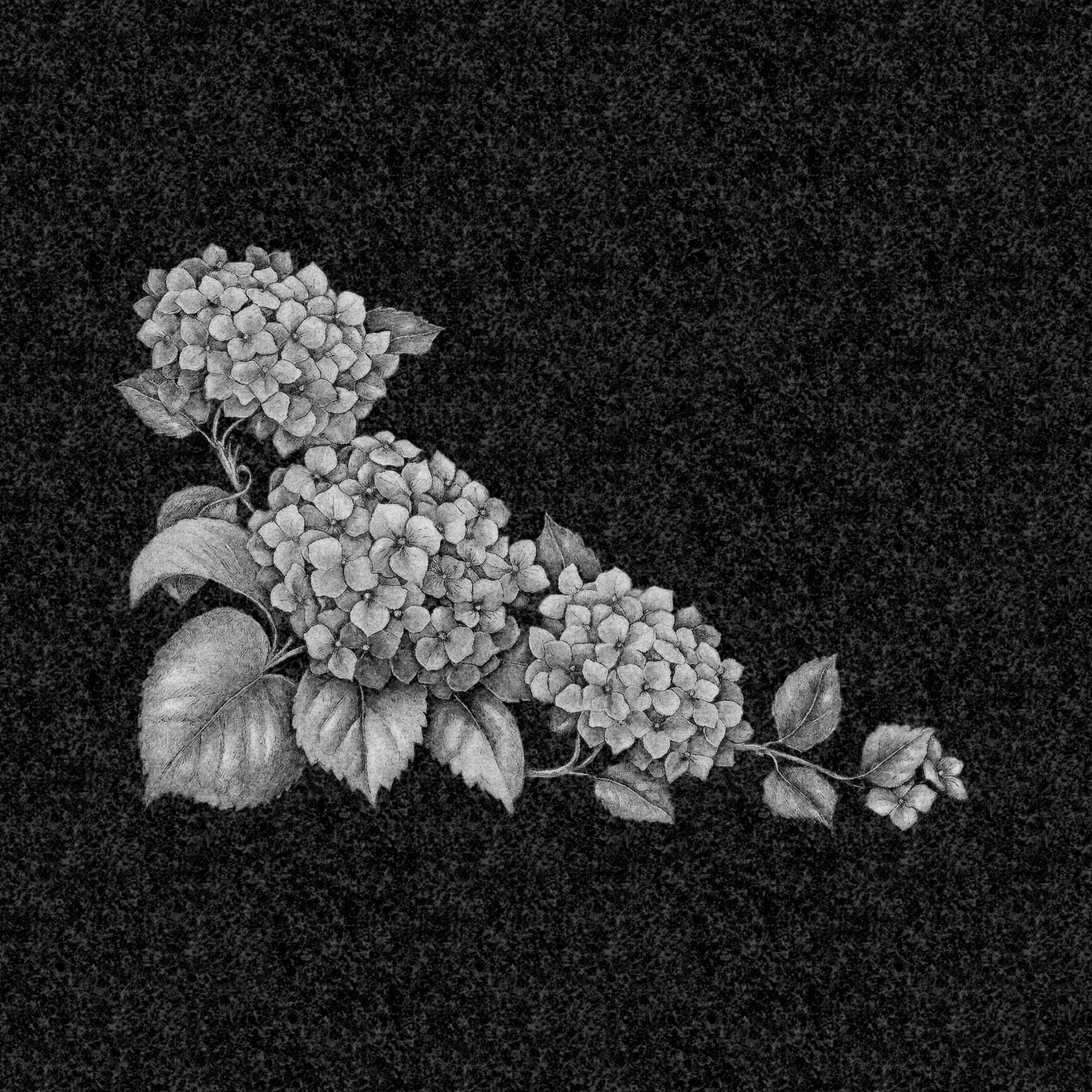 Цветы | Рисунок гортензии, ЦВ-032